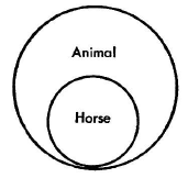 Schopenhauer - Concept Sphere 1