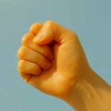 Closed Hand